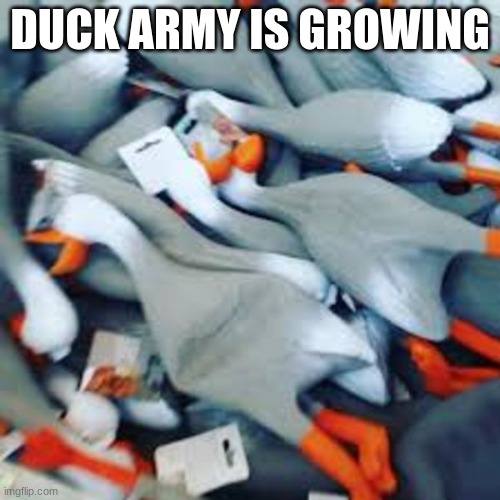 BE PREPARED | DUCK ARMY IS GROWING | image tagged in duck army | made w/ Imgflip meme maker