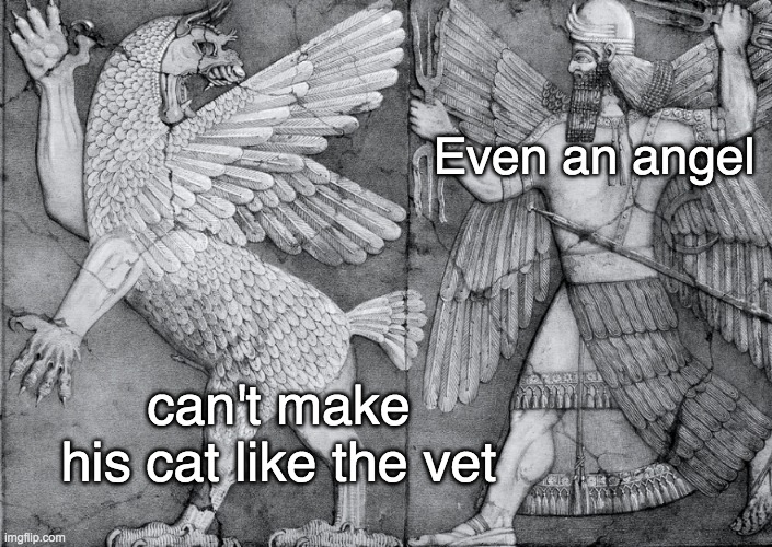 Cat trouble | Even an angel; can't make his cat like the vet | image tagged in cats,ancient | made w/ Imgflip meme maker