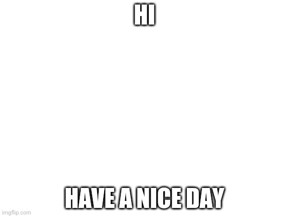 Hi | HI; HAVE A NICE DAY | image tagged in blank white template,hi,have a nice day | made w/ Imgflip meme maker
