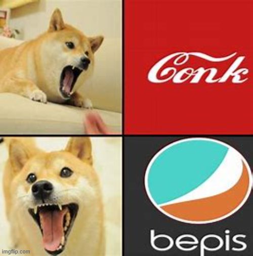 Drink Bepis! Not Conk | image tagged in bepis,conk,doge,shiba inu | made w/ Imgflip meme maker