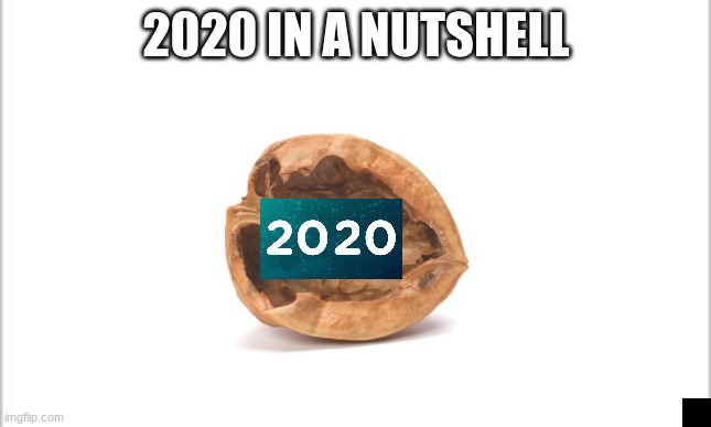 nutshell | 2020 IN A NUTSHELL | image tagged in white background,fun,funny,meme,lol,funny meme | made w/ Imgflip meme maker