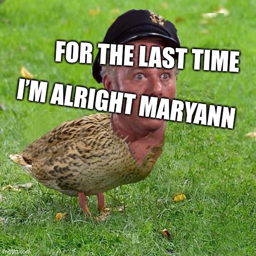 Skip The Duck | FOR THE LAST TIME; I’M ALRIGHT MARYANN | image tagged in skipper duck | made w/ Imgflip meme maker