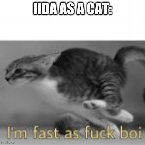 IIDA AS A CAT: | made w/ Imgflip meme maker