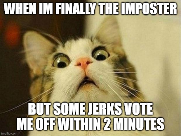 Scared Cat | WHEN IM FINALLY THE IMPOSTER; BUT SOME JERKS VOTE ME OFF WITHIN 2 MINUTES | image tagged in memes,scared cat | made w/ Imgflip meme maker