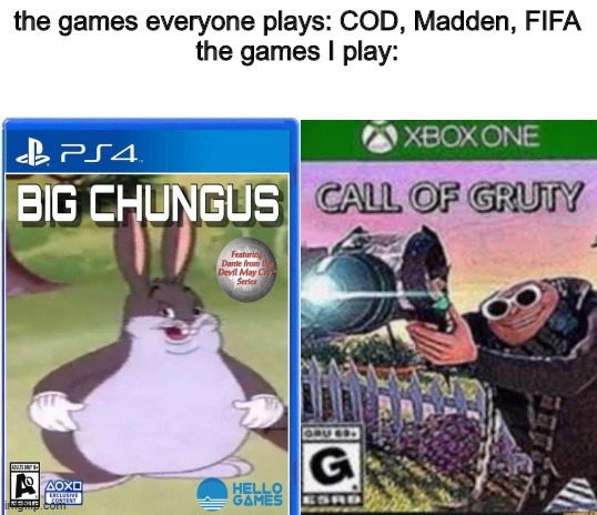 ah yes, my favorites- | the games everyone plays: COD, Madden, FIFA
the games I play: | image tagged in blank white template | made w/ Imgflip meme maker