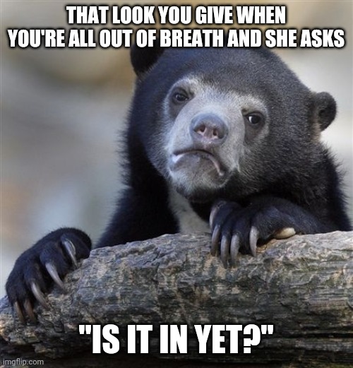 Confession Bear Meme | THAT LOOK YOU GIVE WHEN YOU'RE ALL OUT OF BREATH AND SHE ASKS; "IS IT IN YET?" | image tagged in memes,confession bear | made w/ Imgflip meme maker