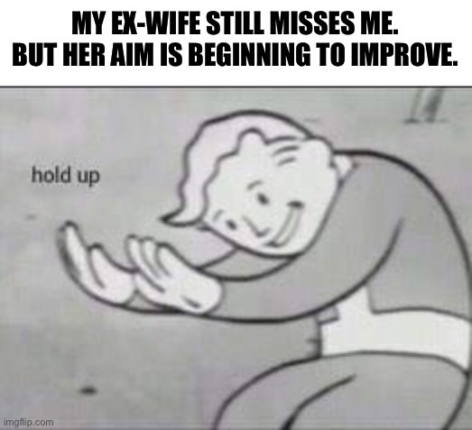 Wait a minute... | MY EX-WIFE STILL MISSES ME. BUT HER AIM IS BEGINNING TO IMPROVE. | image tagged in fallout hold up,memes,funny,stupid jokes,ex-wife,shooting | made w/ Imgflip meme maker