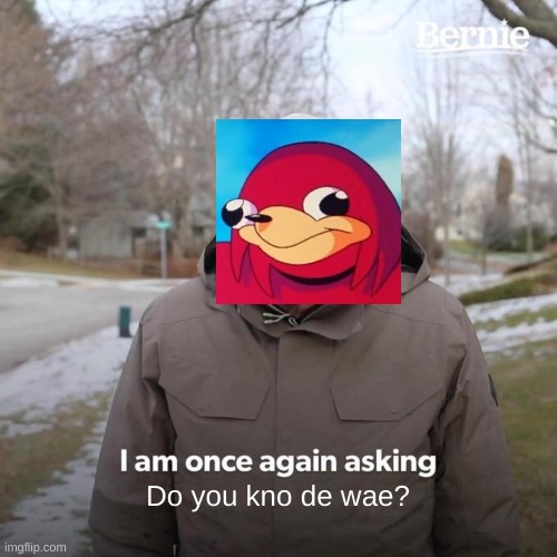 Bernie I Am Once Again Asking For Your Support | Do you kno de wae? | image tagged in memes,bernie i am once again asking for your support | made w/ Imgflip meme maker