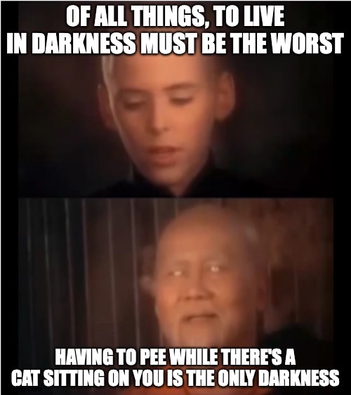 Meoof | OF ALL THINGS, TO LIVE IN DARKNESS MUST BE THE WORST; HAVING TO PEE WHILE THERE'S A CAT SITTING ON YOU IS THE ONLY DARKNESS | image tagged in x is the only darkness,memes,cat,cats,cat meme,cat memes | made w/ Imgflip meme maker