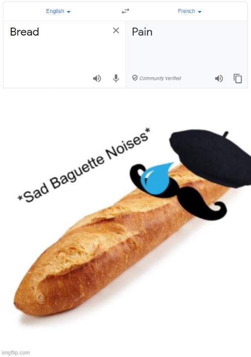 you can search it up | image tagged in bread,pain,sad,french,google,memes | made w/ Imgflip meme maker
