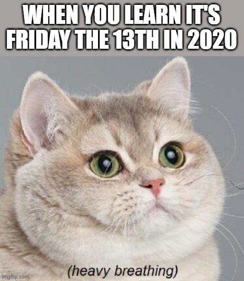 Watch your back today peeps... | WHEN YOU LEARN IT'S FRIDAY THE 13TH IN 2020 | image tagged in memes,heavy breathing cat | made w/ Imgflip meme maker