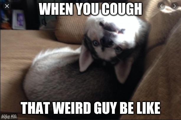 When you cough | WHEN YOU COUGH; THAT WEIRD GUY BE LIKE | image tagged in i know that feel bro | made w/ Imgflip meme maker