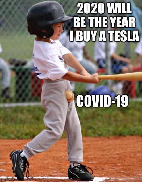 What a year! | 2020 WILL BE THE YEAR I BUY A TESLA; COVID-19 | image tagged in baseball,2020 sucks,covid-19,tesla,memes | made w/ Imgflip meme maker