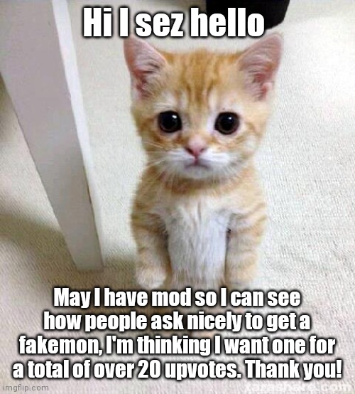Cute Cat | Hi I sez hello; May I have mod so I can see how people ask nicely to get a fakemon, I'm thinking I want one for a total of over 20 upvotes. Thank you! | image tagged in memes,cute cat | made w/ Imgflip meme maker