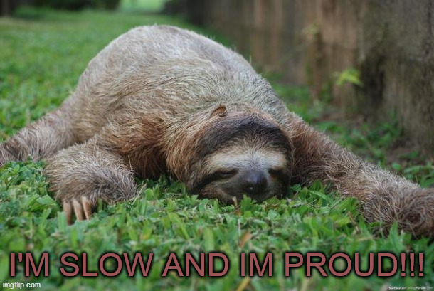 Its not a sloths fault he is slow! xD | I'M SLOW AND IM PROUD!!! | image tagged in sleeping sloth | made w/ Imgflip meme maker