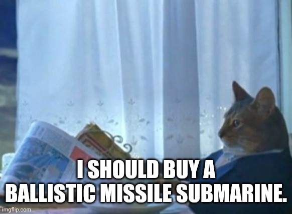 I Should Buy A Boat Cat Meme Imgflip