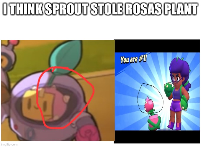 Or found the same one | I THINK SPROUT STOLE ROSAS PLANT | image tagged in brawl stars | made w/ Imgflip meme maker
