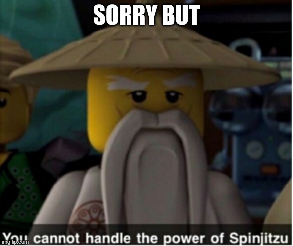 You cannot handle the power of Spinjitzu | SORRY BUT | image tagged in you cannot handle the power of spinjitzu | made w/ Imgflip meme maker
