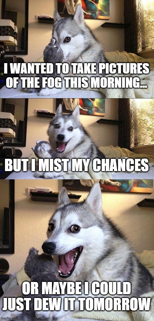 Bad Pun Dog | I WANTED TO TAKE PICTURES OF THE FOG THIS MORNING... BUT I MIST MY CHANCES; OR MAYBE I COULD JUST DEW IT TOMORROW | image tagged in memes,bad pun dog | made w/ Imgflip meme maker