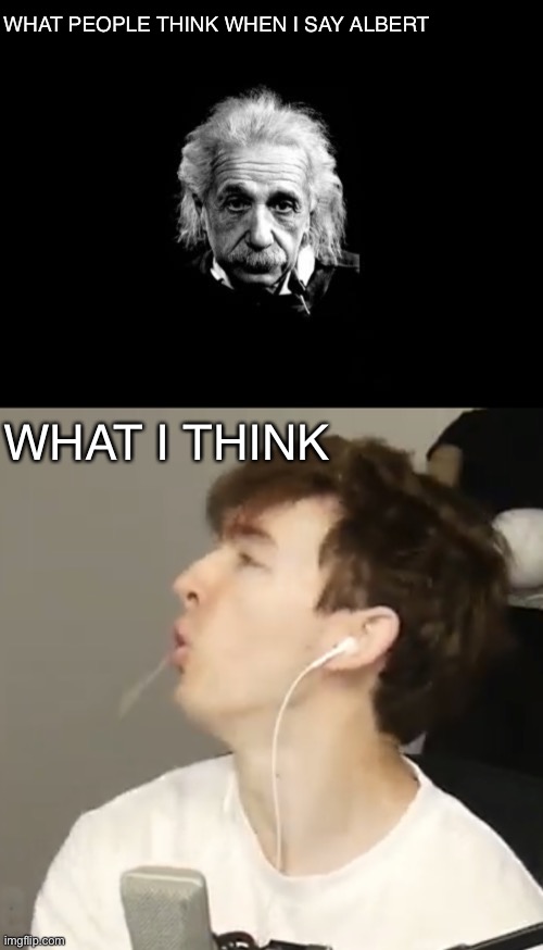 True | WHAT PEOPLE THINK WHEN I SAY ALBERT; WHAT I THINK | image tagged in memes,albert einstein 1,flamingo | made w/ Imgflip meme maker