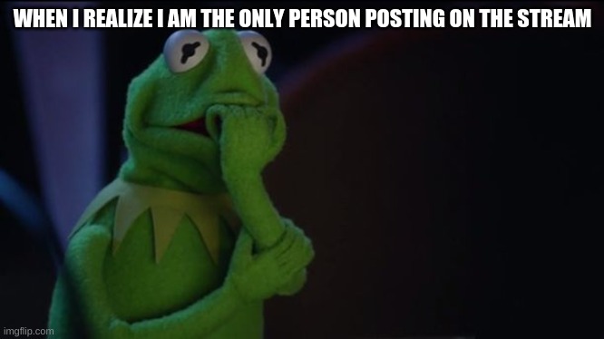 Kermit worried face | WHEN I REALIZE I AM THE ONLY PERSON POSTING ON THE STREAM | image tagged in kermit worried face | made w/ Imgflip meme maker