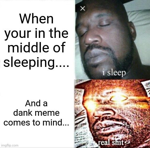 Dank memes | When your in the middle of sleeping.... And a dank meme comes to mind... | image tagged in memes,sleeping shaq | made w/ Imgflip meme maker