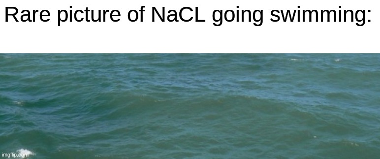 Rare picture of NaCL going swimming: | made w/ Imgflip meme maker