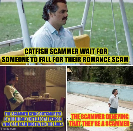 ROMANCE CATFISH SCAMMER | CATFISH SCAMMER WAIT FOR SOMEONE TO FALL FOR THEIR ROMANCE SCAM; THE SCAMMER BEING OUTSMARTED BY THE HIGHLY INTELLECTAL PERSON WHO CAN READ INBETWEEN THE LINES; THE SCAMMER DENEYING THAT THEY'RE A SCAMMER | image tagged in memes,sad pablo escobar,scammer,scammers,catfish,romance scam | made w/ Imgflip meme maker