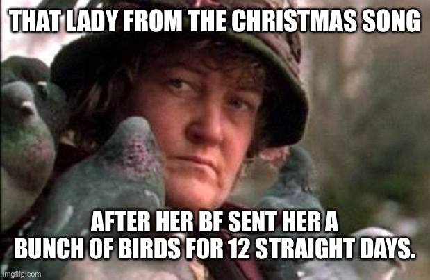 Pigeon lady | THAT LADY FROM THE CHRISTMAS SONG; AFTER HER BF SENT HER A BUNCH OF BIRDS FOR 12 STRAIGHT DAYS. | image tagged in christmas,home alone,12 days of christmas,pigeons,birds | made w/ Imgflip meme maker