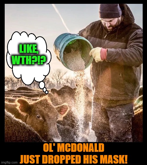 Is this Mad Cow? | LIKE, WTH?!? OL' MCDONALD JUST DROPPED HIS MASK! | image tagged in cows,funny animals,pandemic,masks,covid-19,coronavirus | made w/ Imgflip meme maker
