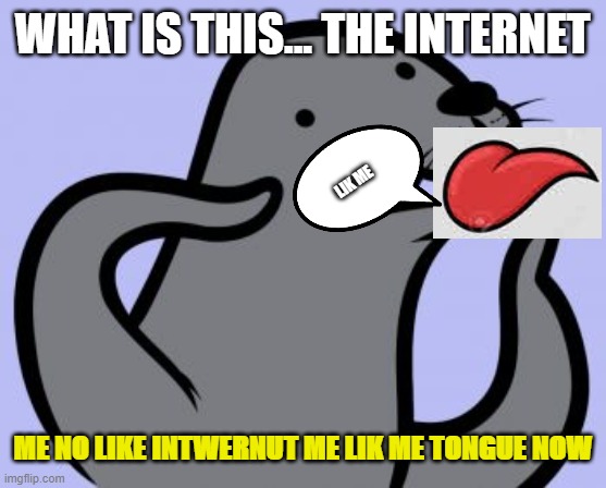 Homophobic Seal Meme | WHAT IS THIS... THE INTERNET; LIK ME; ME NO LIKE INTWERNUT ME LIK ME TONGUE NOW | image tagged in memes,homophobic seal | made w/ Imgflip meme maker