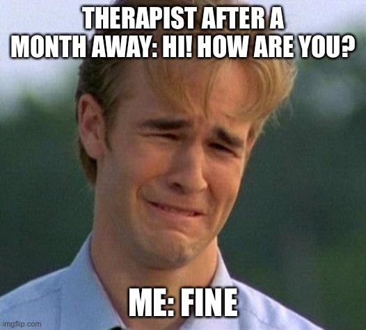 Doing great | THERAPIST AFTER A MONTH AWAY: HI! HOW ARE YOU? ME: FINE | image tagged in memes,1990s first world problems,mental health,therapy,counseling | made w/ Imgflip meme maker