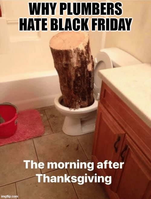 Black Friday | WHY PLUMBERS HATE BLACK FRIDAY | image tagged in toilet,black friday,plumber,clogged toilet,crap | made w/ Imgflip meme maker