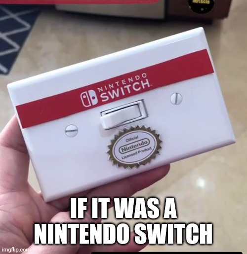 If this was a real nintendo Switch | IF IT WAS A NINTENDO SWITCH | image tagged in nintendo switch,funny,memes | made w/ Imgflip meme maker