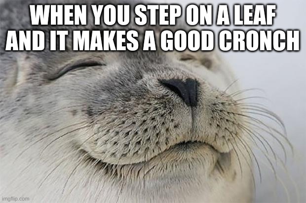 noice good ol cronch | WHEN YOU STEP ON A LEAF AND IT MAKES A GOOD CRONCH | image tagged in memes,satisfied seal,cronch | made w/ Imgflip meme maker
