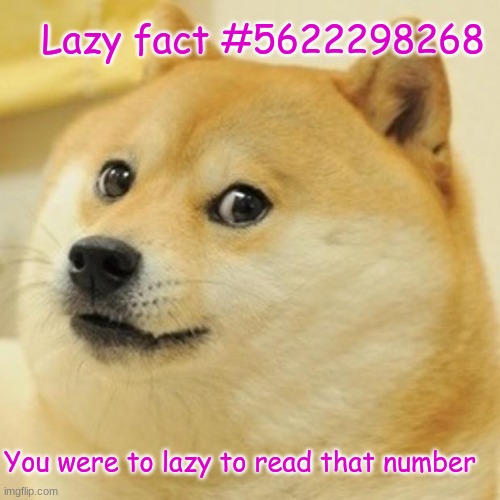 Lazy fact time! | Lazy fact #5622298268; You were to lazy to read that number | image tagged in memes,doge | made w/ Imgflip meme maker