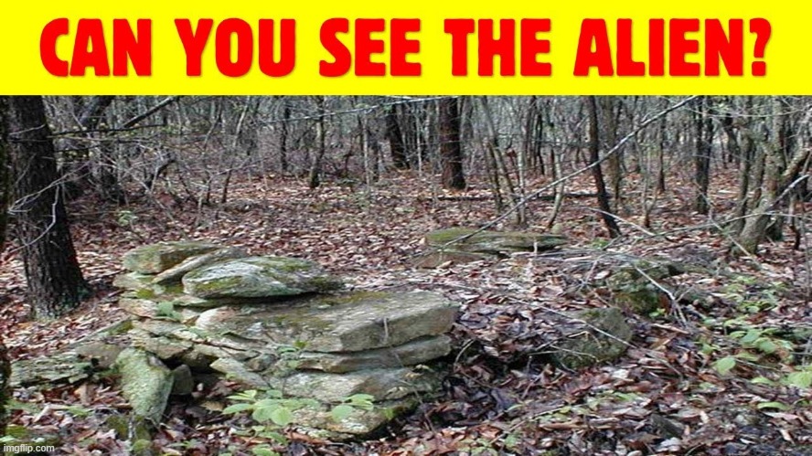 Can you find the alien? This one is hard! | image tagged in memes | made w/ Imgflip meme maker
