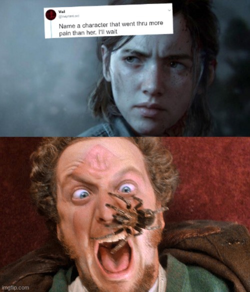home alone | image tagged in name someone who has been through more pain,home alone | made w/ Imgflip meme maker