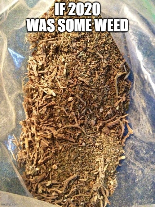 If 2020 Was Some Weed | IF 2020 WAS SOME WEED | image tagged in weed,brick,stoner,cannabis,smoke weed everyday,weedhead | made w/ Imgflip meme maker