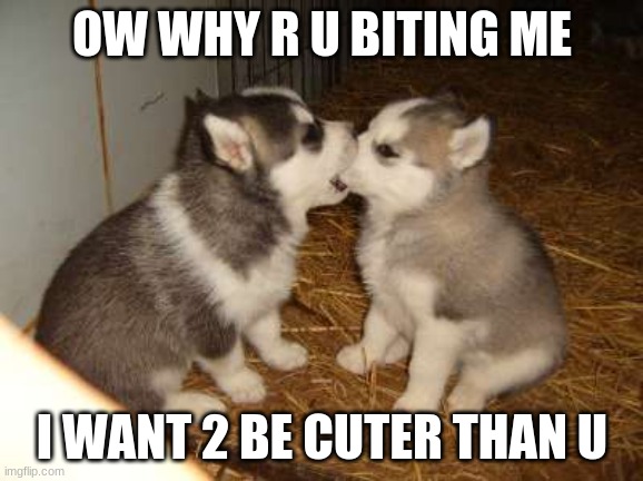 I WANT 2 BE CUTER | OW WHY R U BITING ME; I WANT 2 BE CUTER THAN U | image tagged in memes,cute puppies | made w/ Imgflip meme maker