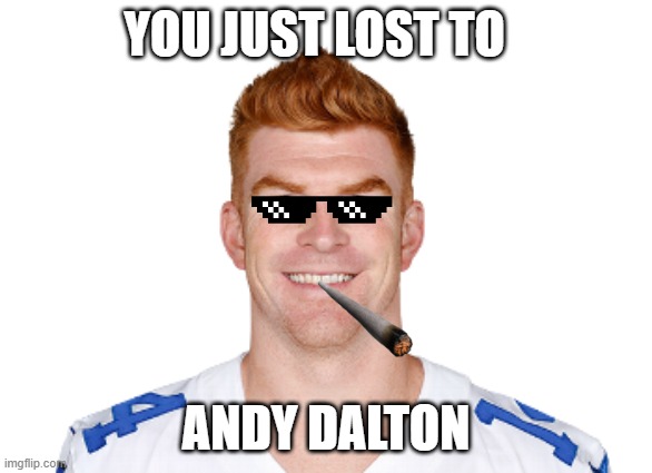 YOU JUST LOST TO; ANDY DALTON | image tagged in nfl memes,nfl football | made w/ Imgflip meme maker