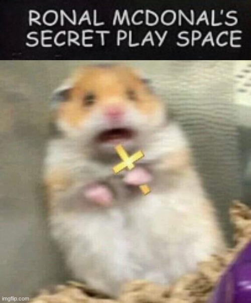 image tagged in scared hamster with cross | made w/ Imgflip meme maker