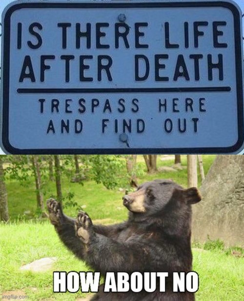 LOL | image tagged in memes,how about no bear,funny,life after death,funny signs,threats | made w/ Imgflip meme maker