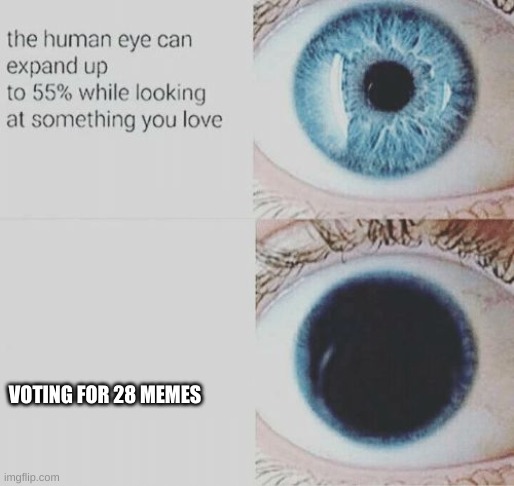 Eye pupil expand | VOTING FOR 28 MEMES | image tagged in eye pupil expand | made w/ Imgflip meme maker