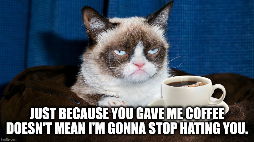 Grumpy Cat Thanks You for the Coffee, But Still Hates You | JUST BECAUSE YOU GAVE ME COFFEE DOESN'T MEAN I'M GONNA STOP HATING YOU. | image tagged in grumpy cat coffee cup | made w/ Imgflip meme maker