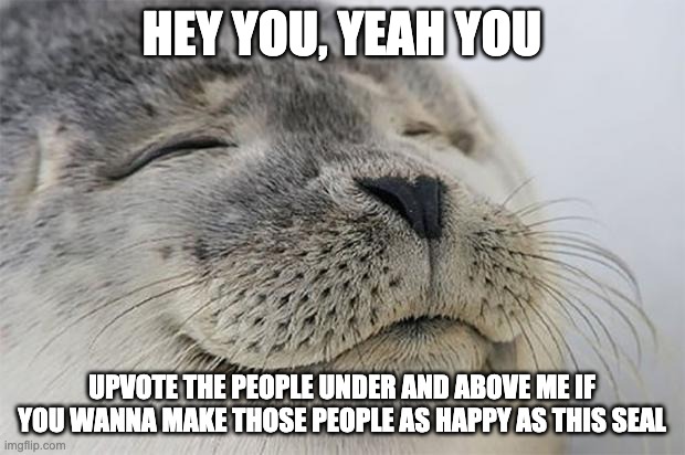Satisfied Seal | HEY YOU, YEAH YOU; UPVOTE THE PEOPLE UNDER AND ABOVE ME IF YOU WANNA MAKE THOSE PEOPLE AS HAPPY AS THIS SEAL | image tagged in memes,satisfied seal | made w/ Imgflip meme maker