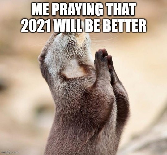 I hope it is better | ME PRAYING THAT 2021 WILL BE BETTER | image tagged in animal praying | made w/ Imgflip meme maker