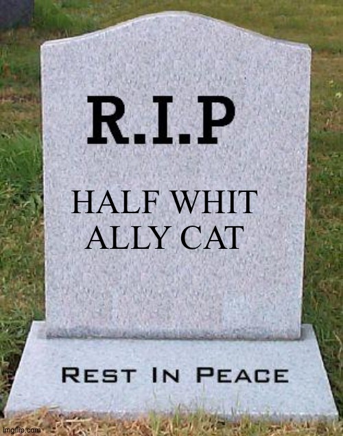. | HALF WHIT
ALLY CAT | image tagged in rip headstone | made w/ Imgflip meme maker