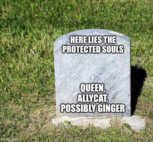 Do I need say more | HERE LIES THE PROTECTED SOULS; QUEEN, ALLYCAT, POSSIBLY GINGER | image tagged in blank tombstone | made w/ Imgflip meme maker