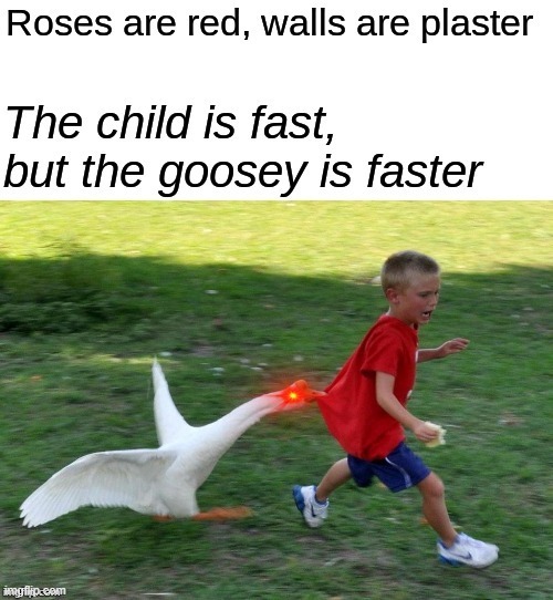 Goosey is faster | image tagged in goose,geese | made w/ Imgflip meme maker